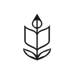 انتشارات هاشمی (Hashemi Publication)