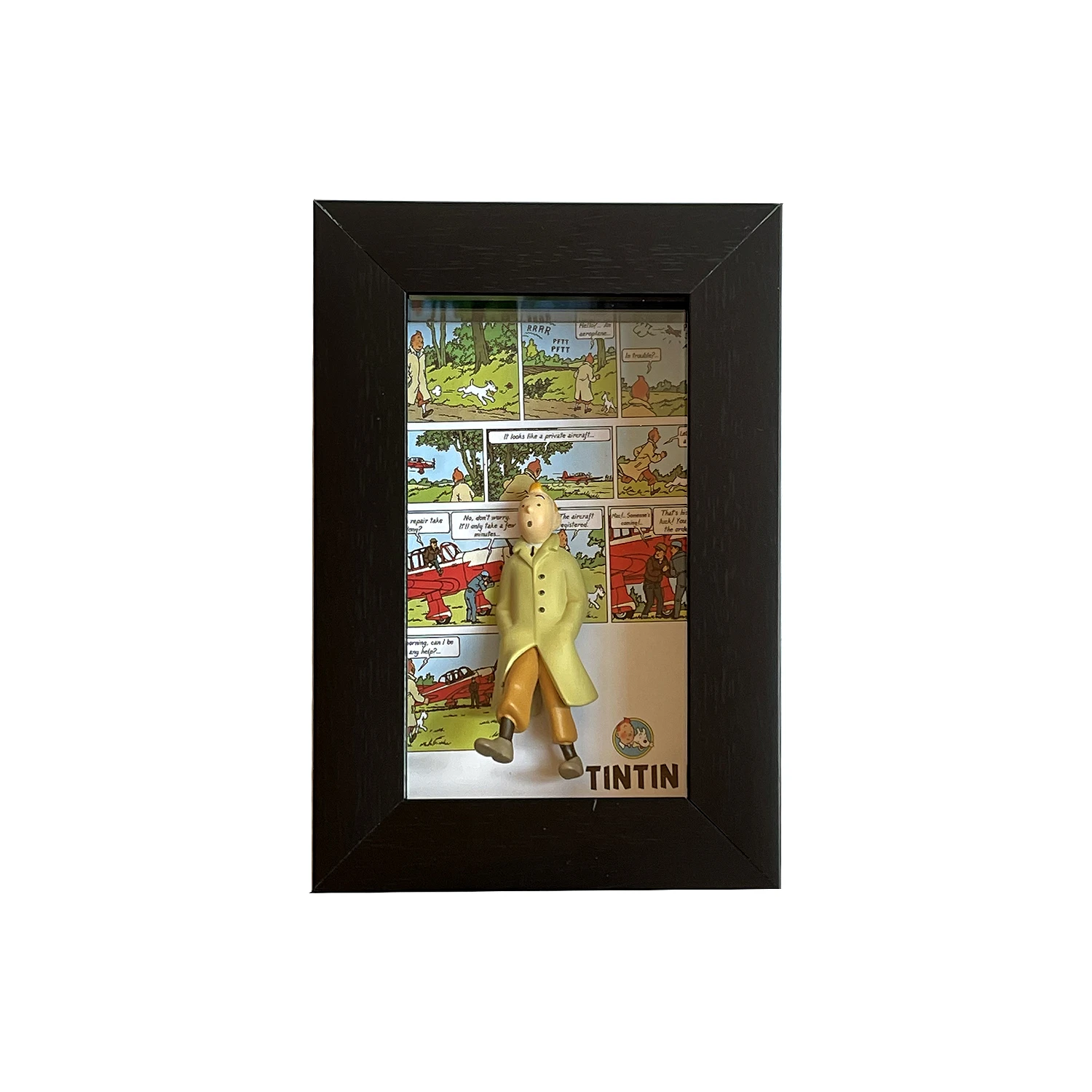 tintin 6.jpg