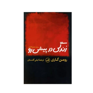 زندگی در پیش رو