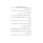  دور دنیا در هشت روز و نصفی (جودی دمدمی 6)-۲.jpg