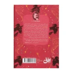 جادوگر شهر از (رنگین کمان کلاسیک 2)-۲.jpg