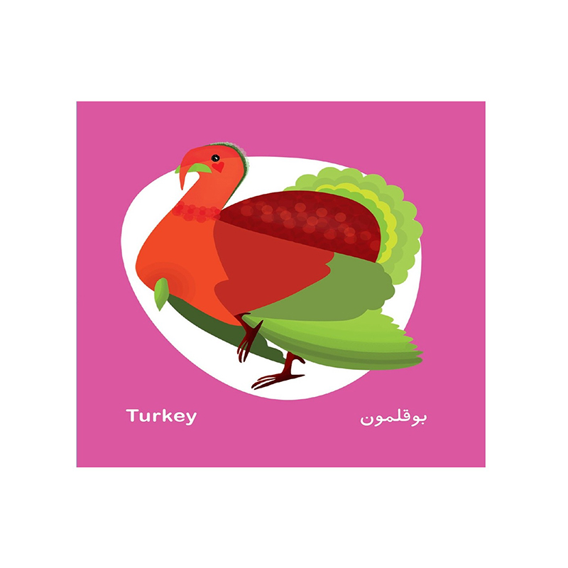 پرنده ها (فرهنگ تصویری نی نی ها)-۲.jpg