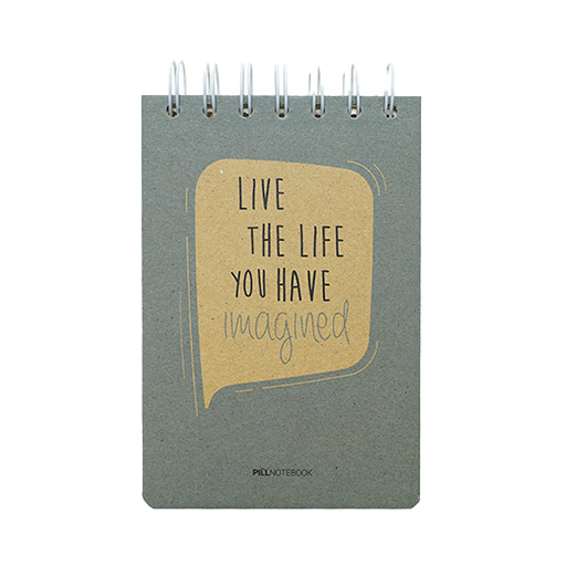 دفتر یادداشت ۱۲۰ برگ A6 گیومه (برند پیل)-فیلی.jpg