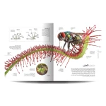 کتاب دایره المعارف دنیای میکروسکوپی (نشر سایان)-2.jpg