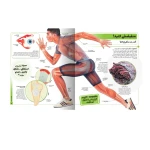 کتاب دایره المعارف مصور بدن شگفت انگیز ما (نشر سایان)-2.jpg