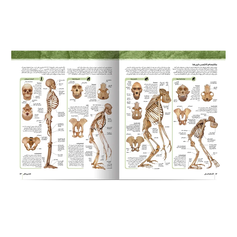 کتاب دایره المعارف مصور انسان تباران (نشر سایان)-۲.jpg