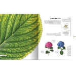 کتاب دایره المعارف مصور گیاه‌ شناسی (نشر سایان)-2.jpg