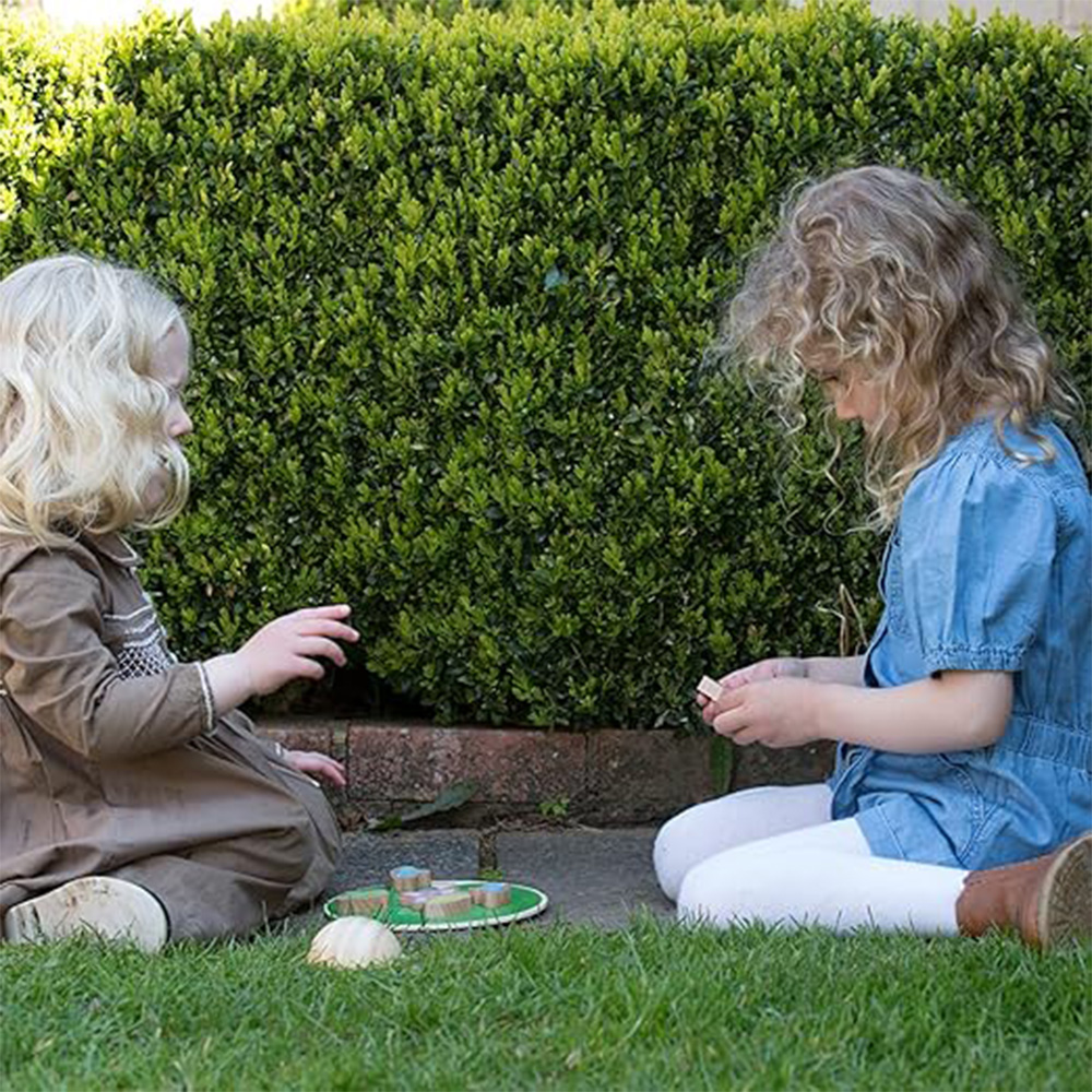 بازی تعادلی نیلوفر آبی چوبی Balancing Water Lily-۱.jpg