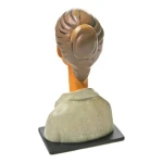 مجسمه مودیلیانی Modigliani Lunia Czechowska (برند پاراستون) -۳.jpg