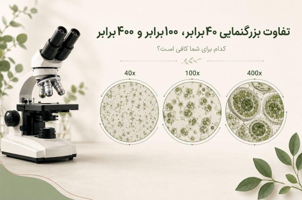 تفاوت بزرگنمایی ۴۰برابر، ۱۰۰برابر و ۴۰۰برابر میکروسکوپ؛ کدام برای شما مناسب است؟