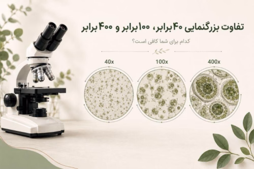 تفاوت بزرگنمایی ۴۰برابر، ۱۰۰برابر و ۴۰۰برابر میکروسکوپ؛ کدام برای شما مناسب است؟